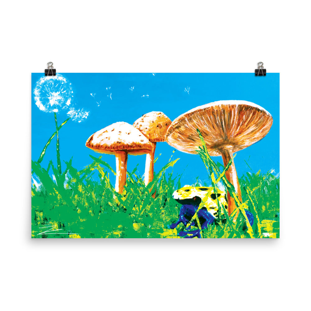 toadstools Poster